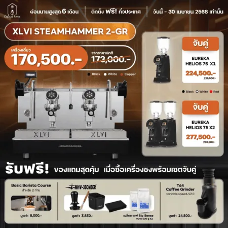 XLVI Steamhammer 2 Gr 1